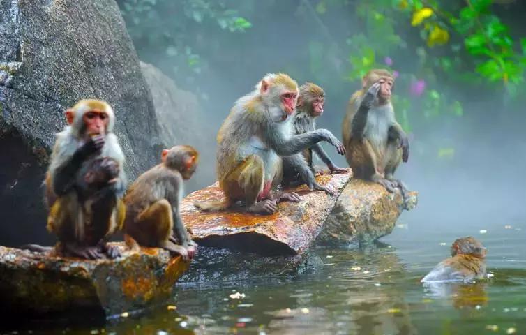 解锁更多惊喜体验,解锁多种体验形式