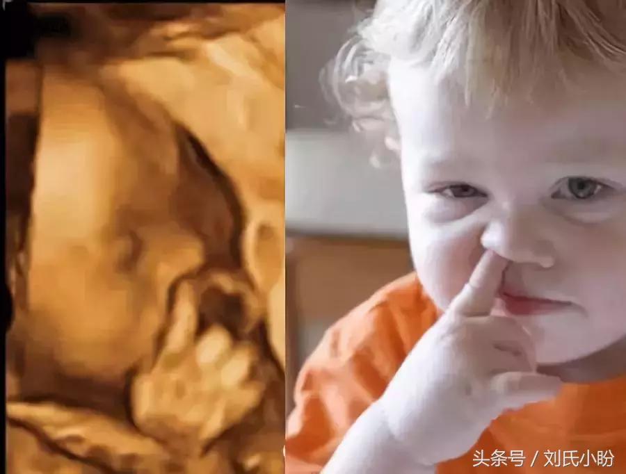 宝宝在肚子里胎动是怎样的,胎动时宝宝在肚子里做什么呀