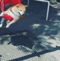 世界杯如火如荼,世界杯看球激动