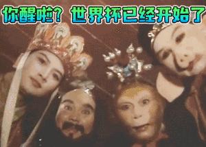 世界杯重大风险分析,世界杯期间的法律问题