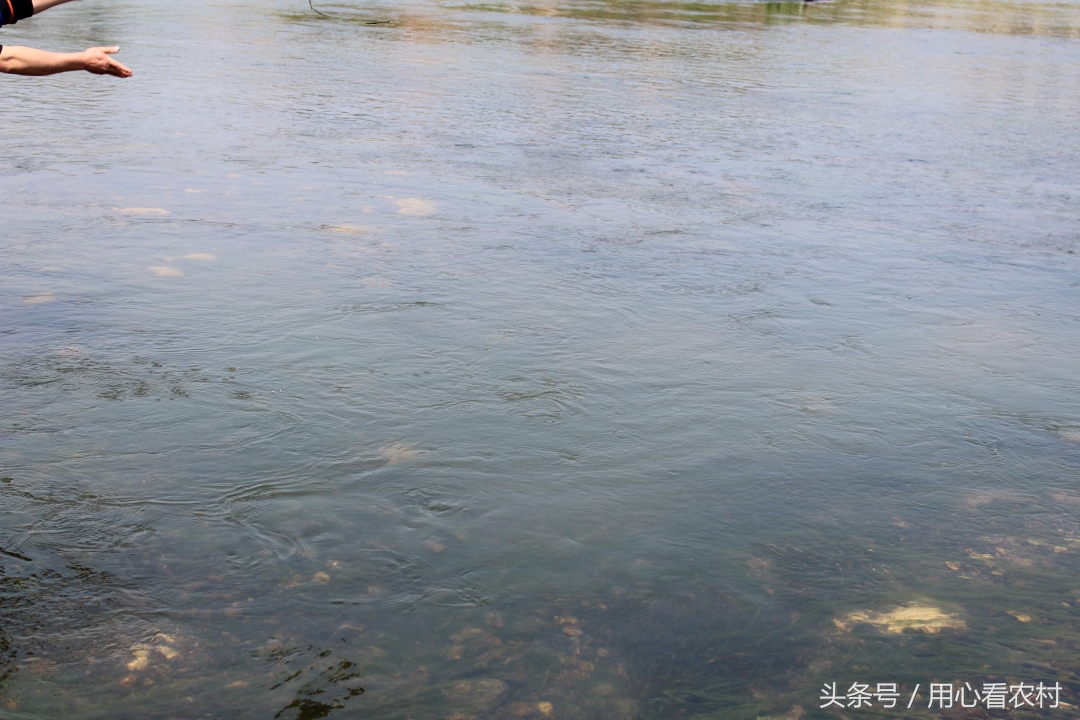 高手在民间弹珠赛道,高手在民间砸场子