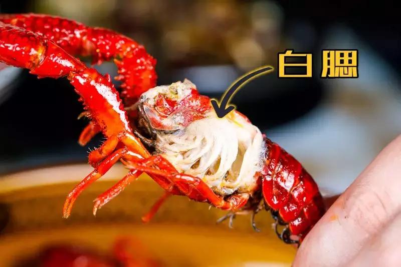 天津人都在疯传的看球基地!买大送小,简直不要太划算!