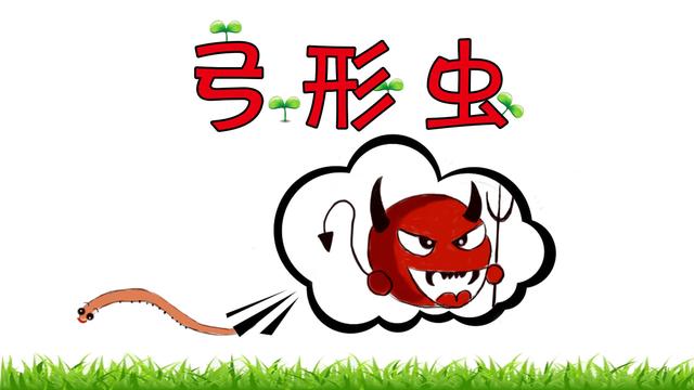 黄瓜内长寄生虫是怎么形成的,吃新鲜的黄瓜会得寄生虫病吗