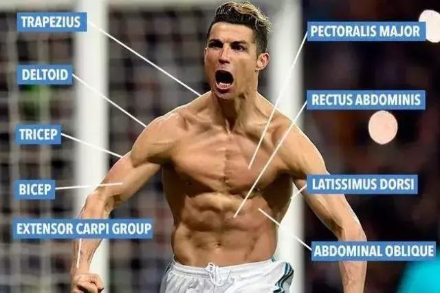 世界杯太太团最佳阵容,世界杯太太团阵容