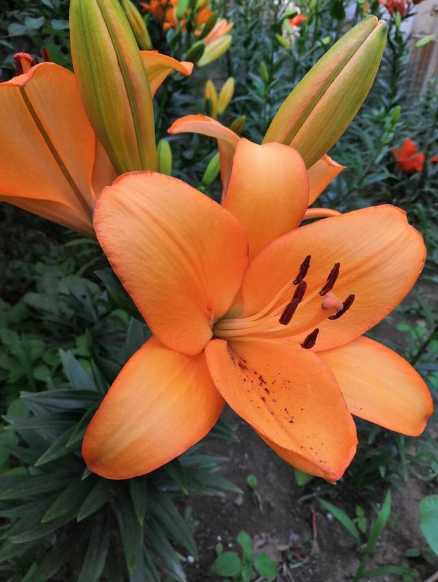 荣耀play深度评测,荣耀play6tpro评测视频