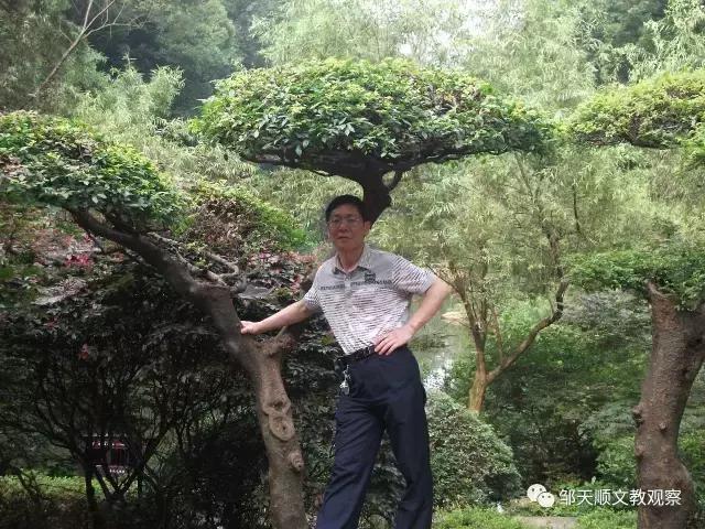 勤于耕耘甘于奉献的老师,兢兢业业任劳任怨甘于奉献的教师