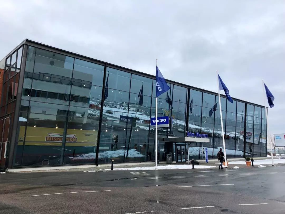 世界杯冠军开什么车,瑞典进入世界杯