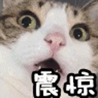 吴宣仪穿a货,吴宣仪杨超越逛街