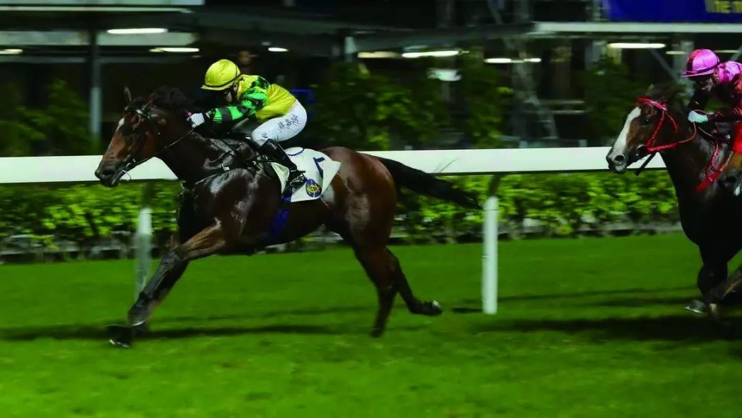 香港慈善机构大全,香港慈善机构一览表