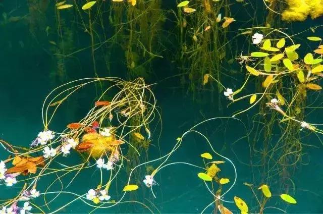 与锦华国旅携手揭秘高原母亲湖-泸沽湖神秘面纱