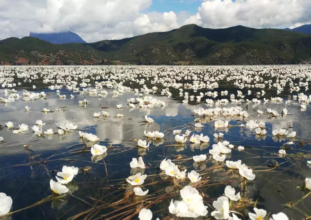 与锦华国旅携手揭秘高原母亲湖-泸沽湖神秘面纱