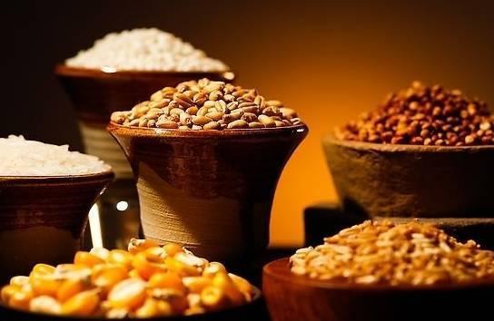 农村小本养殖创业项目大全,项目致富