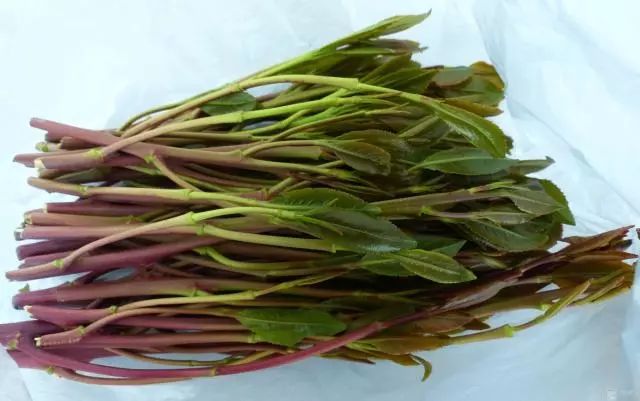 国际禁毒日有自愿戒毒还有什么,国际禁毒日的毒品的危害