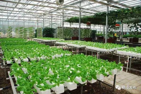 杨凌示范区今天新闻,今天杨凌有什么新闻