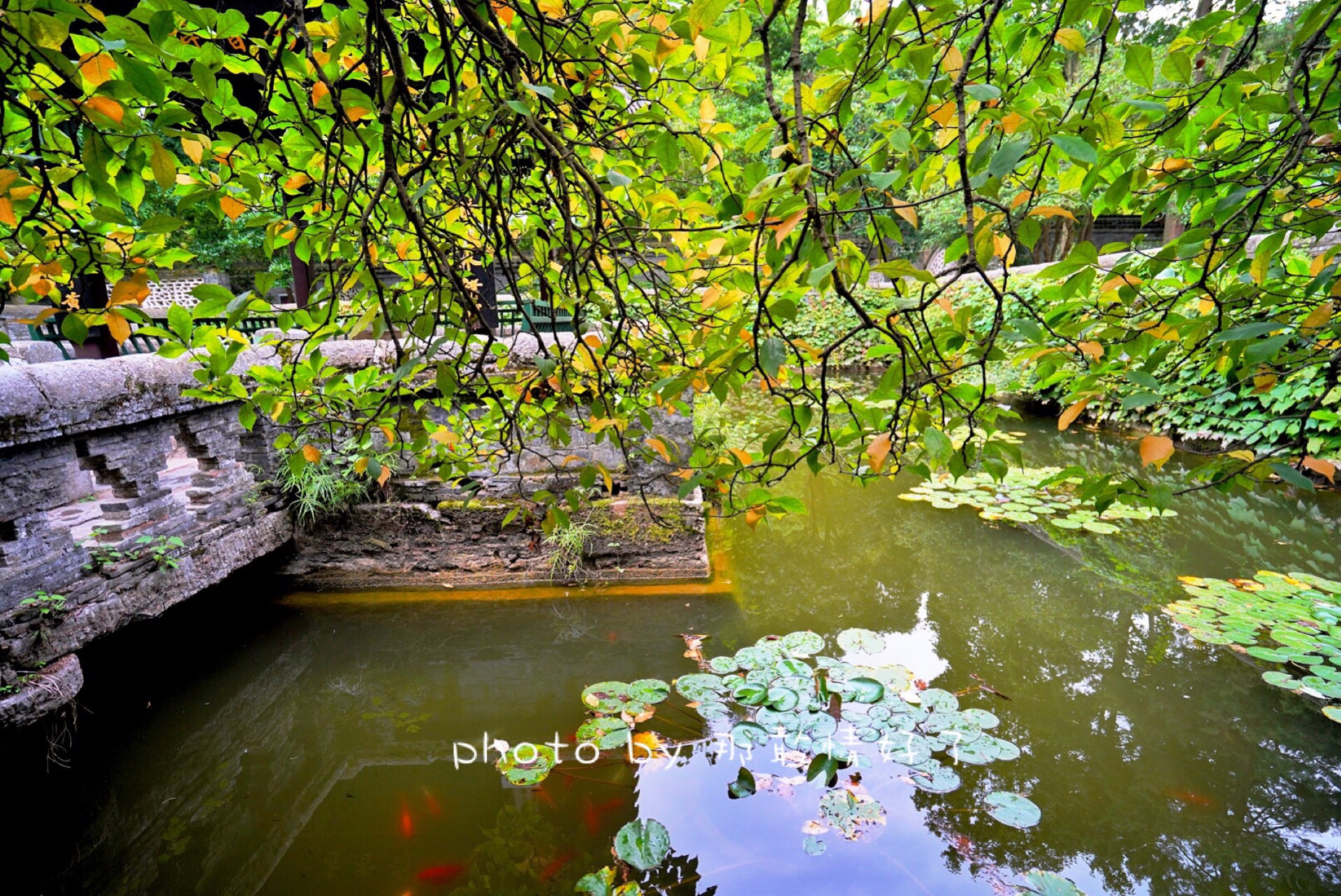 滁州小众的地方,滁州小众