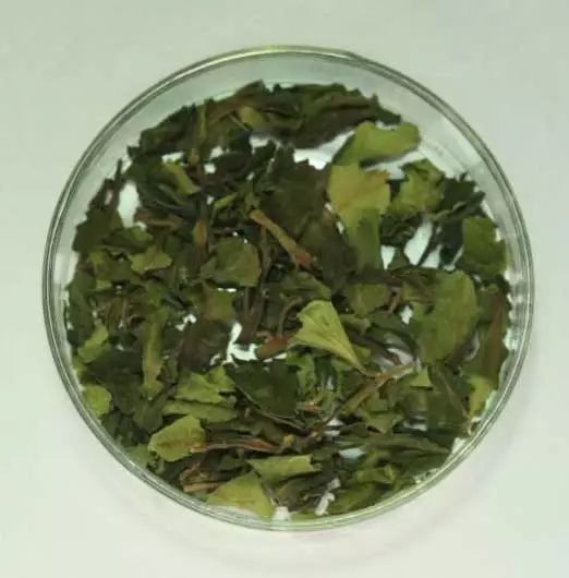 世界上十大最毒知识,毒相关知识