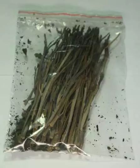 禁毒别让毒品吞噬你的青春,禁毒背影