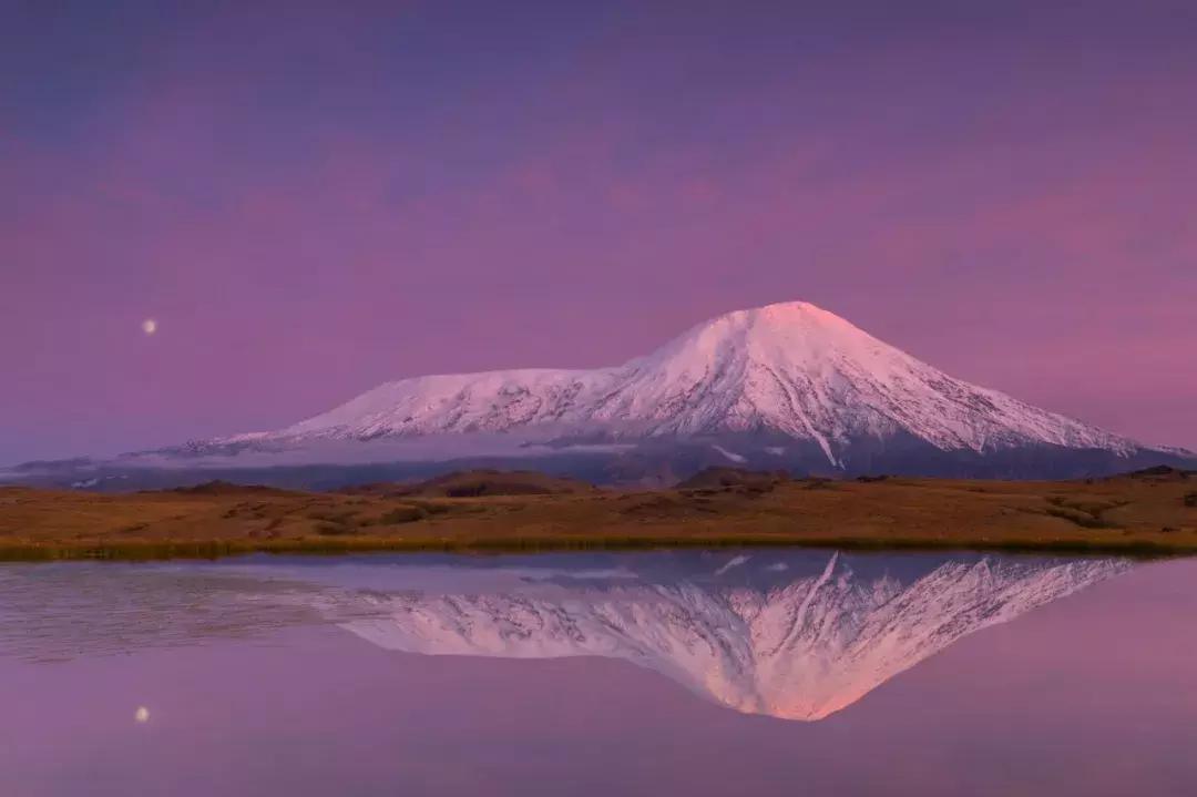 上半年大片,上半年大片推荐