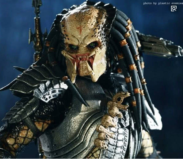 塞内加尔主教练西塞世界杯,塞内加尔教练西塞