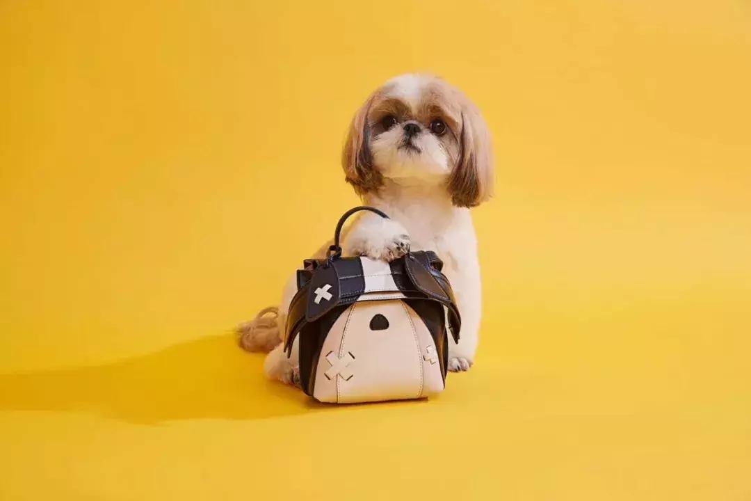 专访｜59分钟卖光300只万元包包！包先生是怎么做到的？