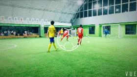 战报2019年,战报回放的视频