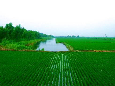 盘锦鼎翔旅游景区,辽宁盘锦旅游景区集锦