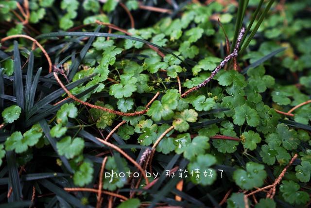 安徽小众旅行地,安徽冬日小众旅游