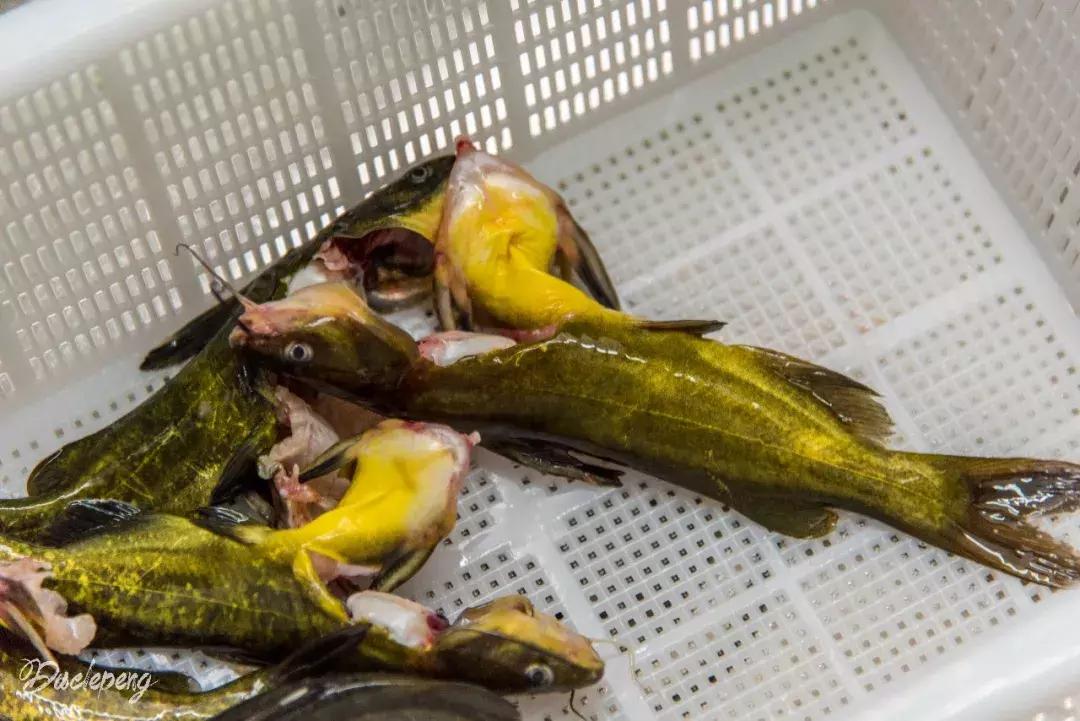 在弥勒吃什么,在弥勒什么小吃最好吃