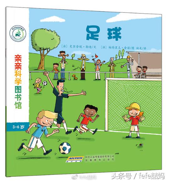 世界杯必读书籍,足球书籍世界杯