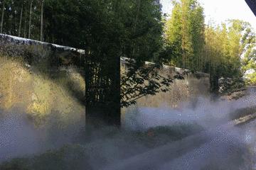 卢俊接受采访,卢俊的全部视频