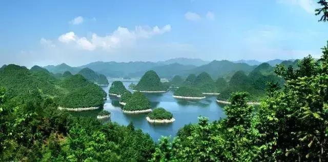 从无人区归来图片,从无人区归来