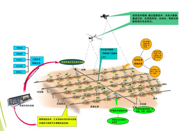碱地种玉米高产的秘方,碱地水稻怎么施肥