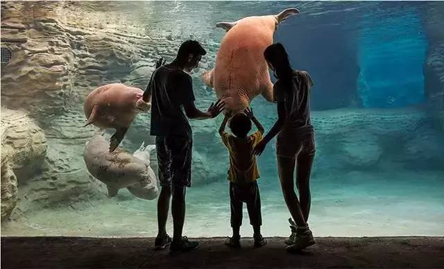 马戏酒店珠海长隆杂技房图片,珠海长隆杂技酒店