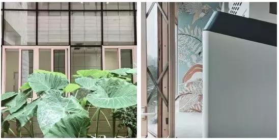 三圣乡网红打造地,三圣乡新经济小镇规划