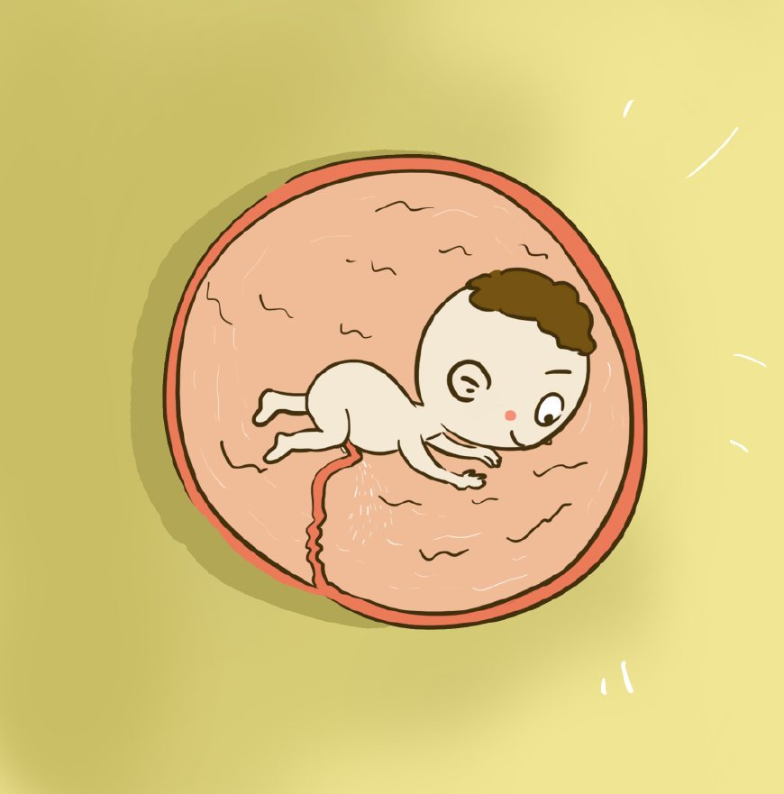 胎儿会在妈妈肚子里做什么,胎儿在妈妈的肚子里做了什么