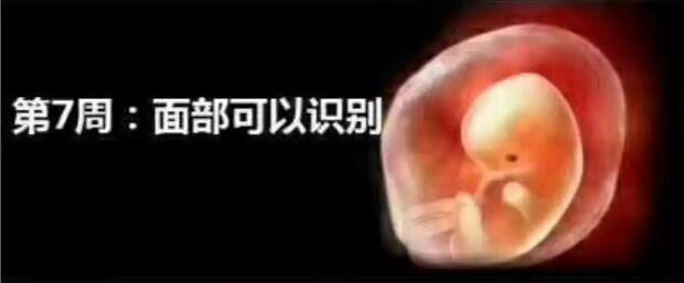 养出漂亮宝宝,养出聪明娃的技巧