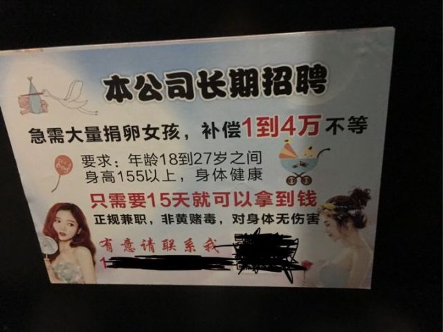 捐卵有多可怕？多少年轻女孩差点把命都搭进去了！