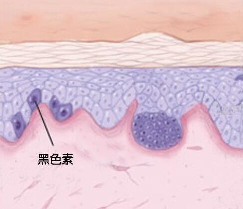 美白丸吃了真的可以美白吗,吃美白丸一般多久有效