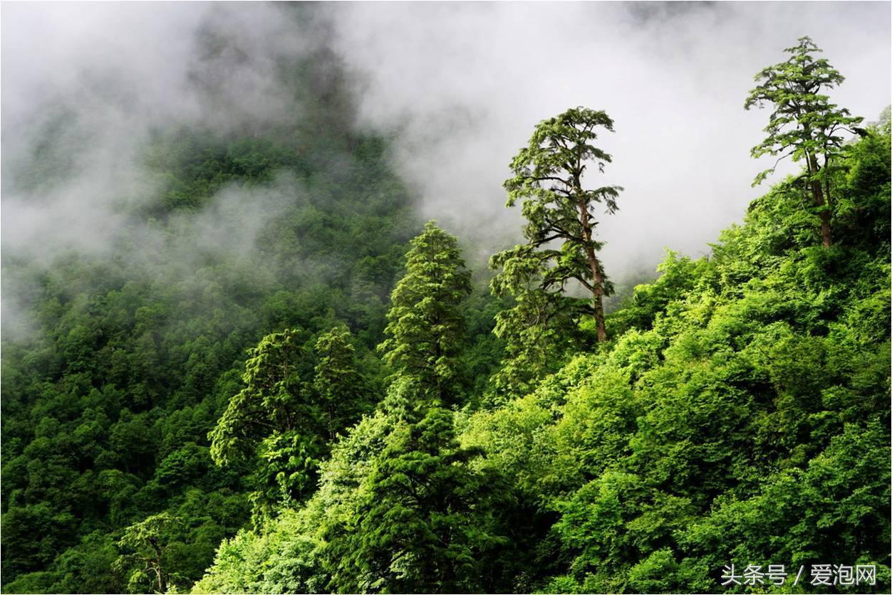 燕子沟冰川漂亮吗,燕子沟冰川