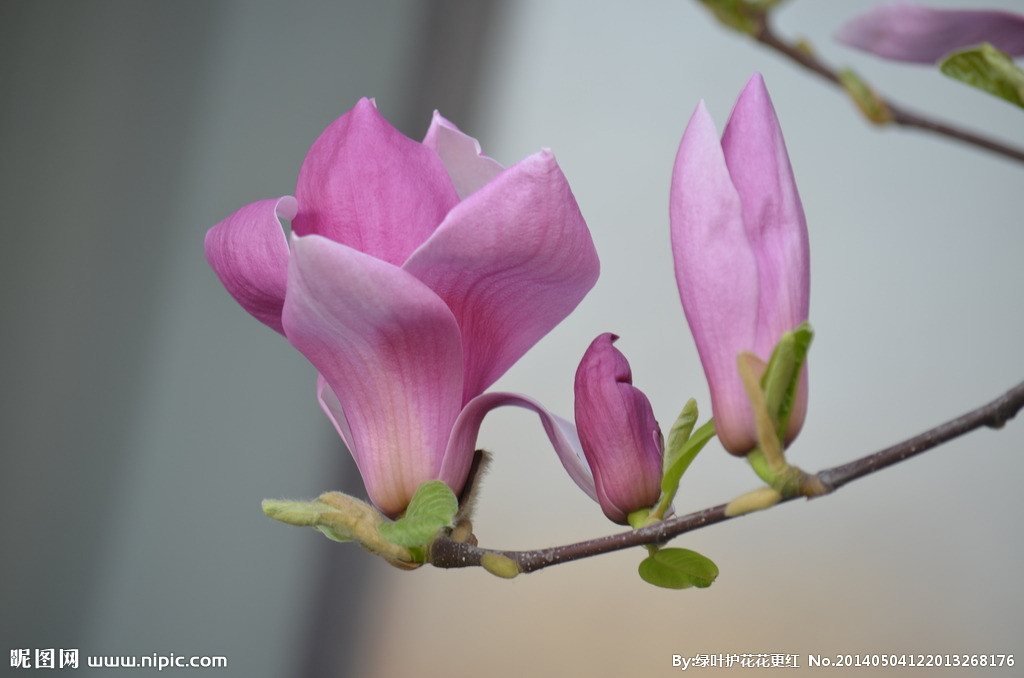 他喜欢你,一定会主动找你