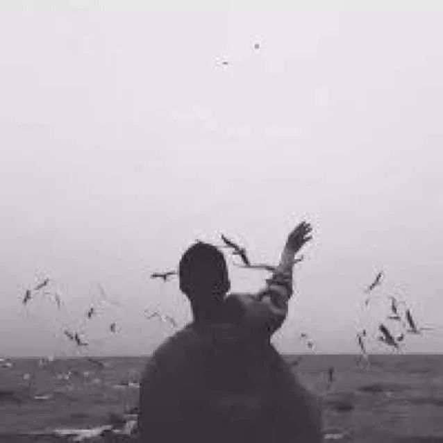 景德镇瓷器直供价格,瓷器直供价值