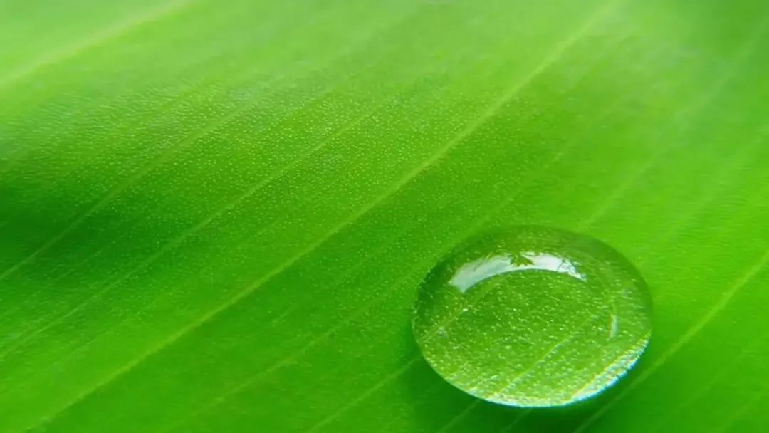 微信聊天护眼背景图高清大图,护眼背景图微信聊天背景