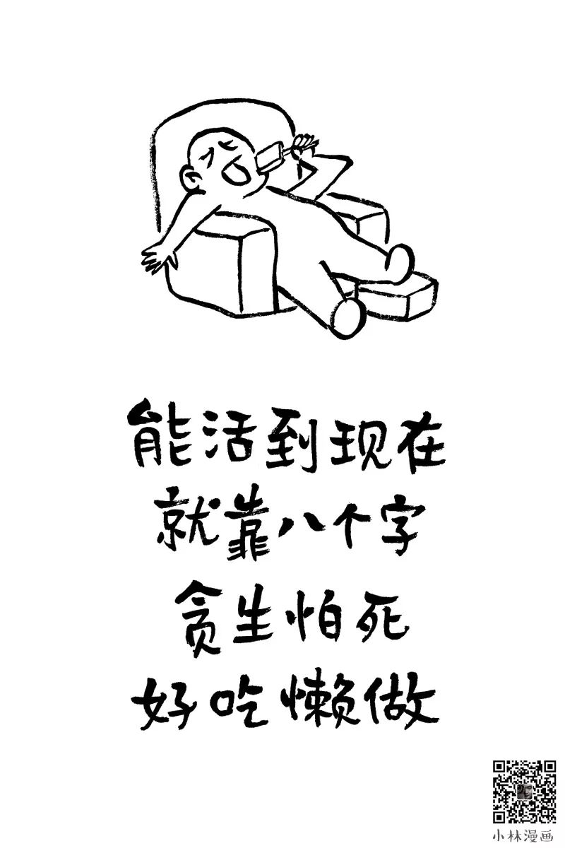 先生苦海无涯,小说苦海无涯回头是我