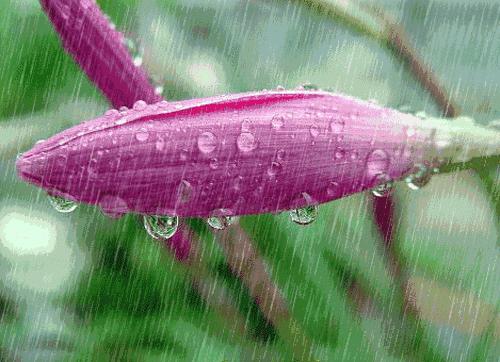 微信朋友圈早上好表情图片大全,早上好微信动态表情精美图片大全