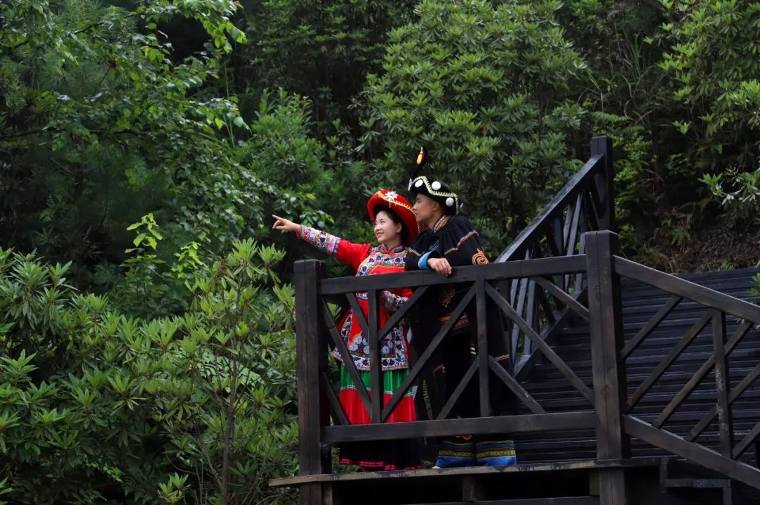 花舍温馨小院主题客栈,北京花舍民宿住宿
