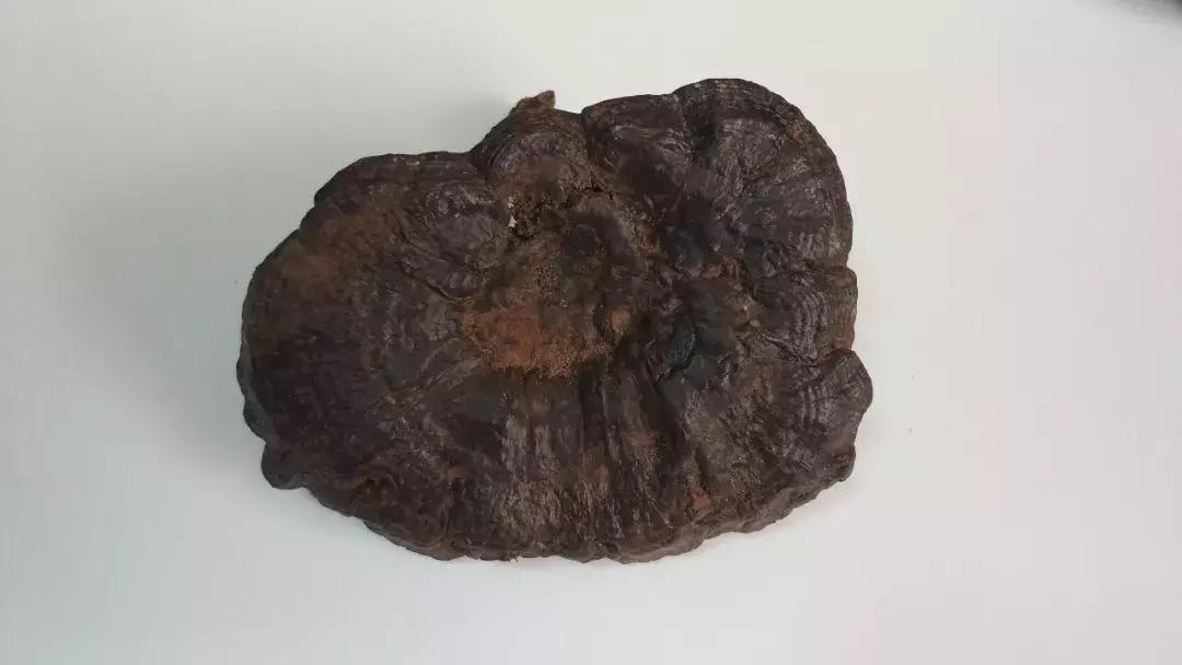 灵芝药品和灵芝保健品有什么区别,灵芝和灵芝孢子粉是一种保健品吗