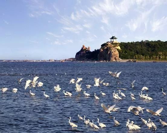 长春直达长沙高铁,长春至长沙高铁