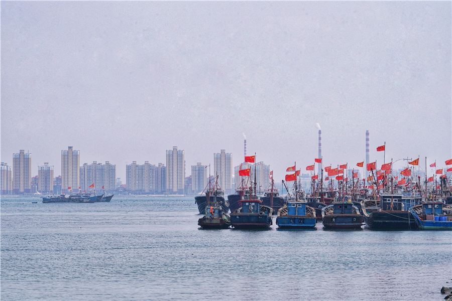 渤海可以游玩的小岛,龙口渤海上的岛