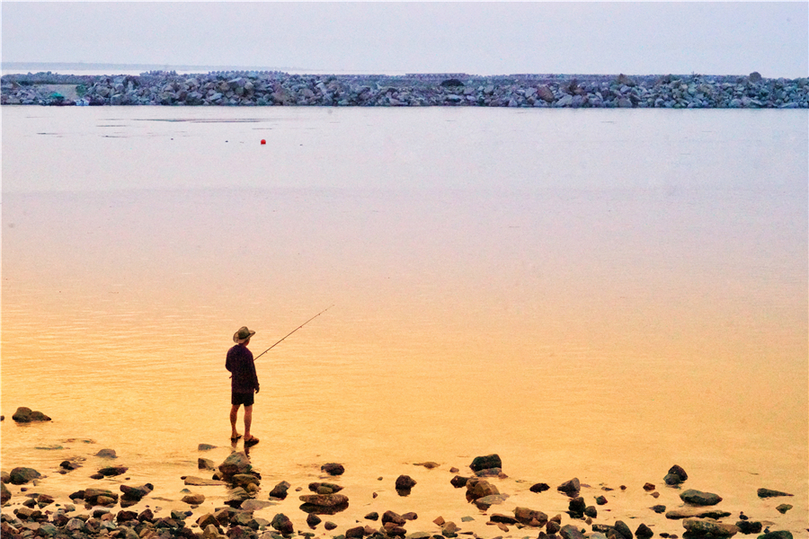 渤海可以游玩的小岛,龙口渤海上的岛