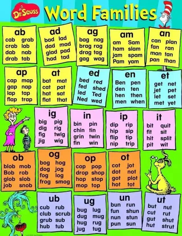 美国老师教元音字母的单词,美国老师教自然拼读记单词